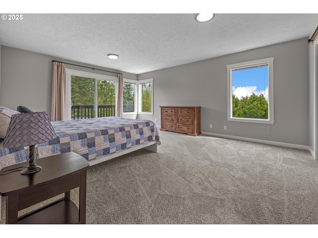 bedroom with baseboards, access to outside, carpet flooring, and a textured ceiling