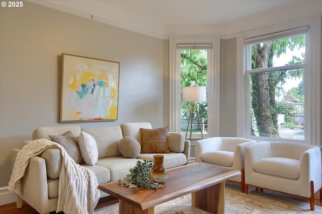 3324 SE Salmon St, Portland, OR 97214 - living room featuring light wood-style floors