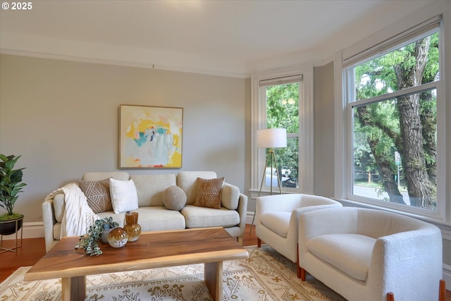 3324 SE Salmon St, Portland, OR 97214 - living area with plenty of natural light and wood finished floors