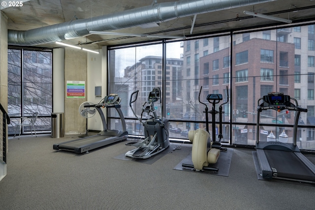 workout area featuring floor to ceiling windows