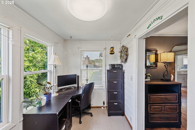 2720 Bowman Rd, Reedsport, OR 97467 - office featuring healthy amount of natural light