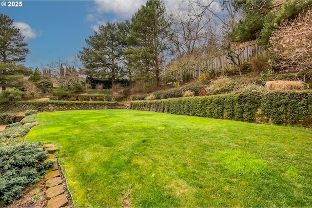 view of yard featuring fence