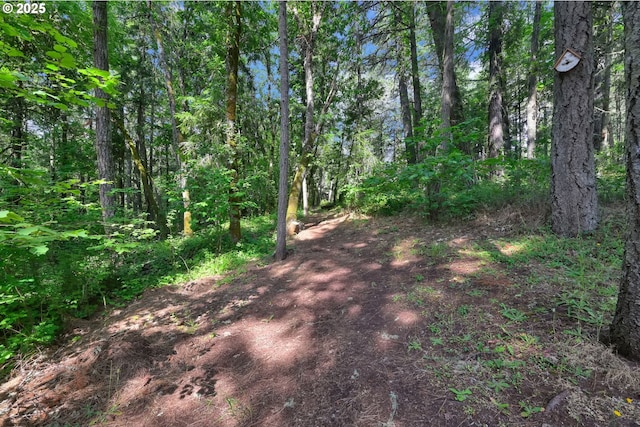 768 Brookside Dr, Eugene, OR 97405 - view of street with a wooded view