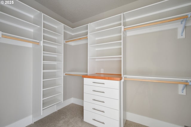 spacious closet with light colored carpet