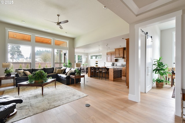 living room featuring a ceiling fan, light wood-style flooring, and a barn door