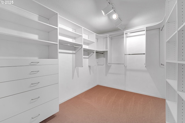 spacious closet with carpet floors