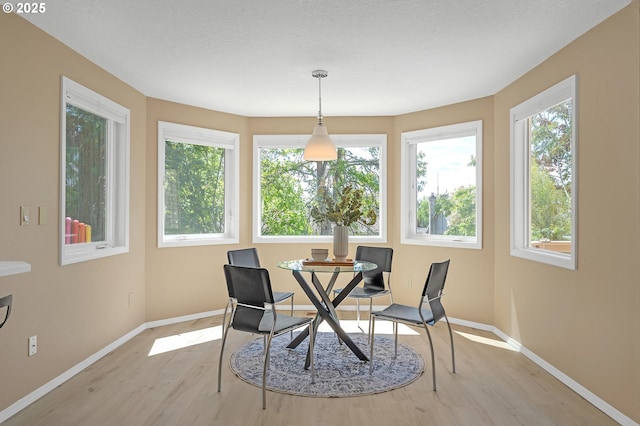 dining space with light wood-style flooring, baseboards, and healthy amount of natural light