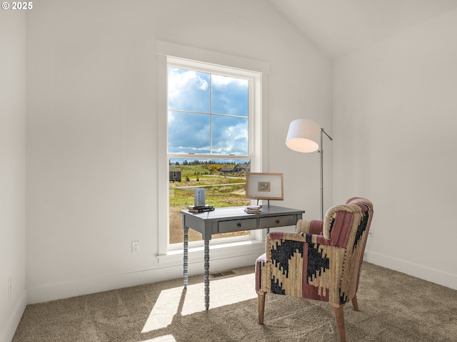 90202 Hobie Rd, Warrenton, OR 97146 - carpeted office featuring lofted ceiling and baseboards