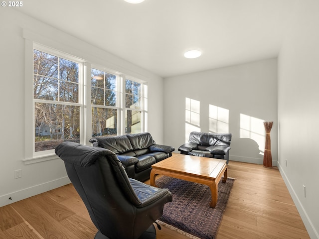 living room with light hardwood / wood-style flooring and plenty of natural light