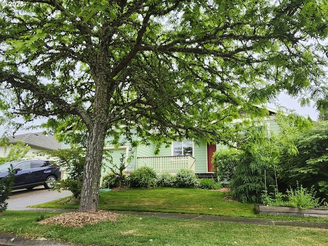 2405 Strasburg Dr, Forest Grove, OR 97116 - view of green lawn featuring concrete driveway, an attached garage, and a porch