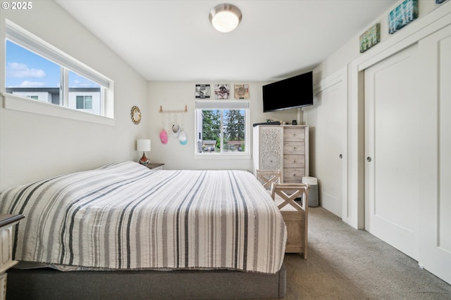 116 NE 109th Ave, Portland, OR 97220 - bedroom featuring carpet, multiple windows, and a closet
