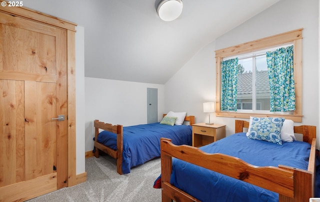 bedroom featuring baseboards, vaulted ceiling, and carpet flooring