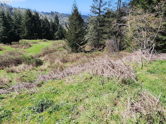 view of nature with a wooded view