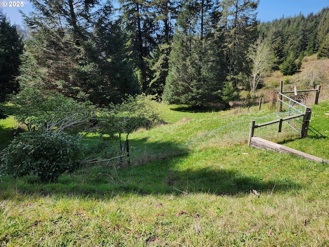 view of yard with a forest view