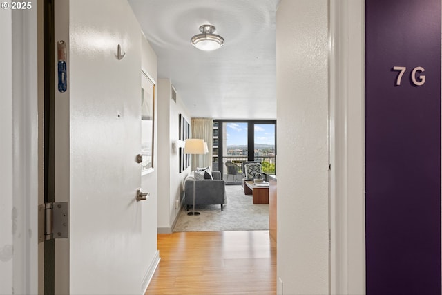 hall with a wall of windows, carpet, and wood finished floors