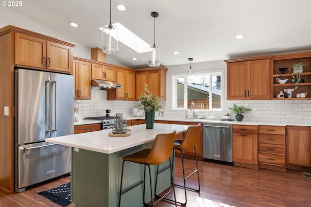 kitchen featuring a sink, premium appliances, under cabinet range hood, vaulted ceiling with skylight, and light countertops