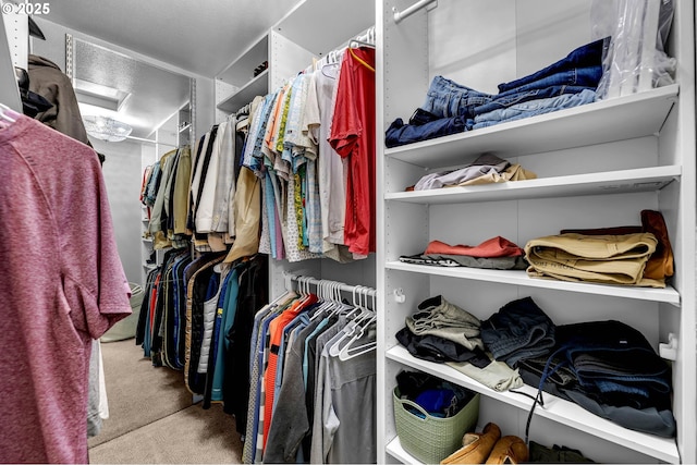 10417 NE 86th Ave, Vancouver, WA 98662 - spacious closet featuring carpet and attic access