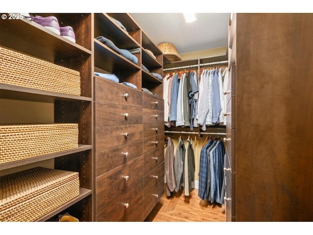 view of walk in closet