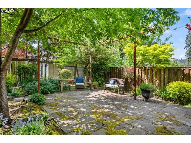 exterior space with a fenced backyard and a patio area