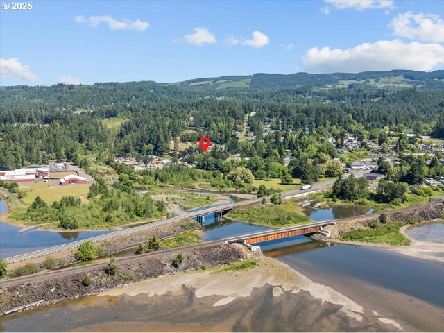 531 NW Vancouver Ave, Stevenson, WA 98648 - aerial view of a heavily wooded area, a nearby body of water, and a notable bridge