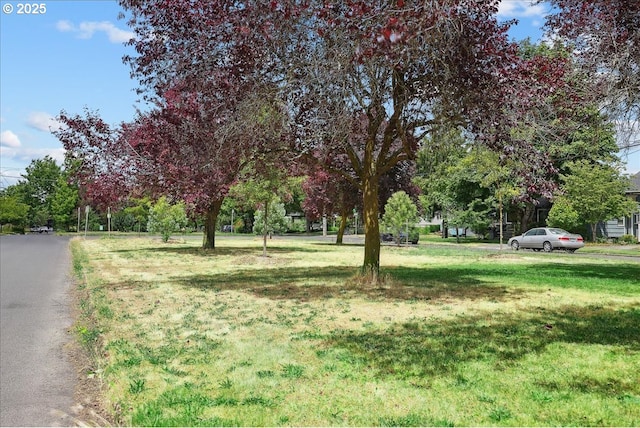 3615 NE 72nd Ave, Portland, OR 97213 - view of grassy yard