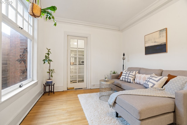 living room featuring ornamental molding, baseboards, and light wood finished floors