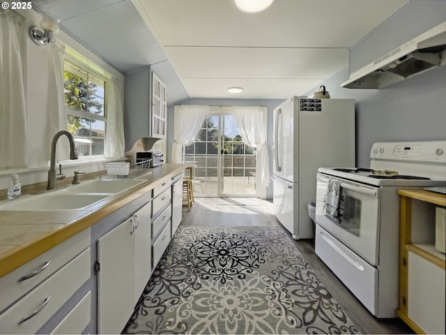 97994 W Benham Ln, Brookings, OR 97415 - kitchen featuring white appliances, a sink, range hood, dark wood-type flooring, and healthy amount of natural light