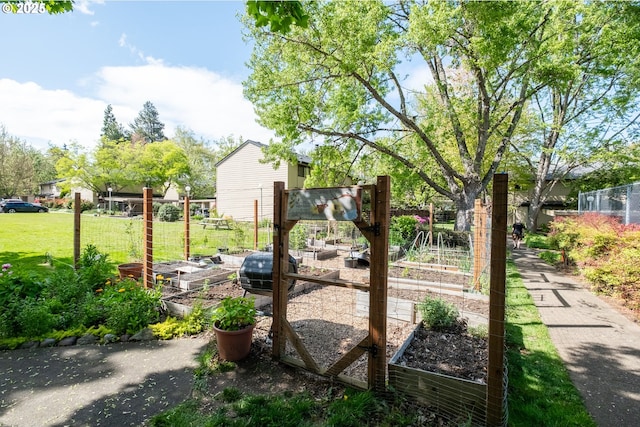 view of yard with a vegetable garden