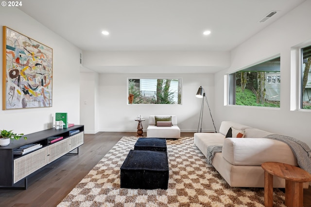 living room with dark wood-type flooring and a healthy amount of sunlight