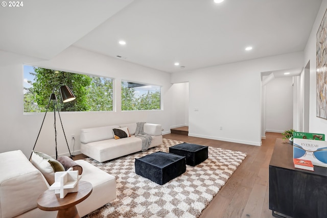 living room with wood-type flooring