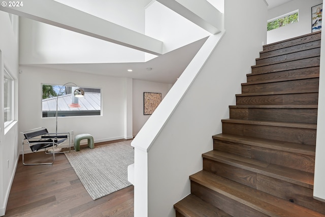 staircase featuring a skylight, plenty of natural light, and hardwood / wood-style floors