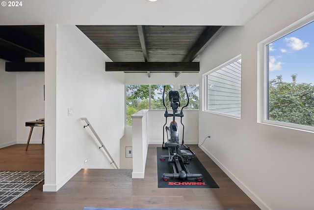 workout area featuring dark wood-type flooring and plenty of natural light