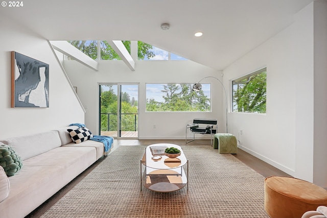 living room with lofted ceiling and wood-type flooring