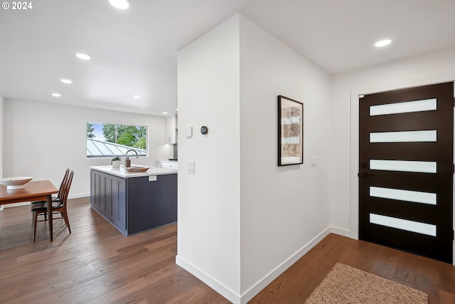 foyer featuring dark hardwood / wood-style flooring and sink