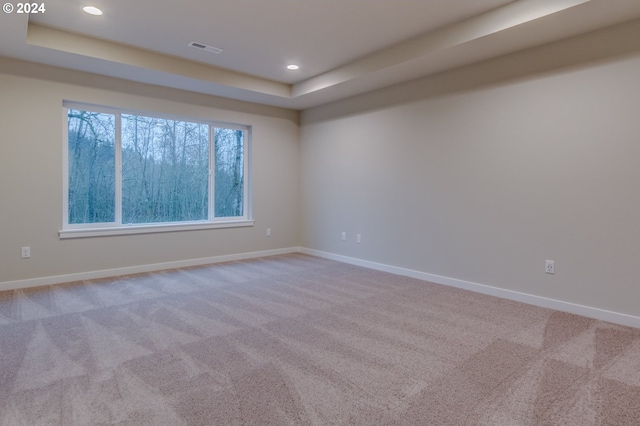 carpeted spare room featuring a raised ceiling