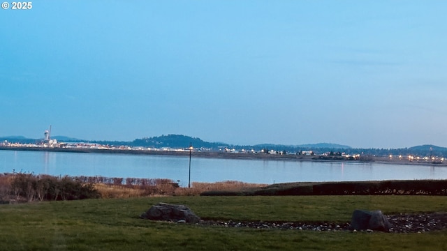 view of water feature