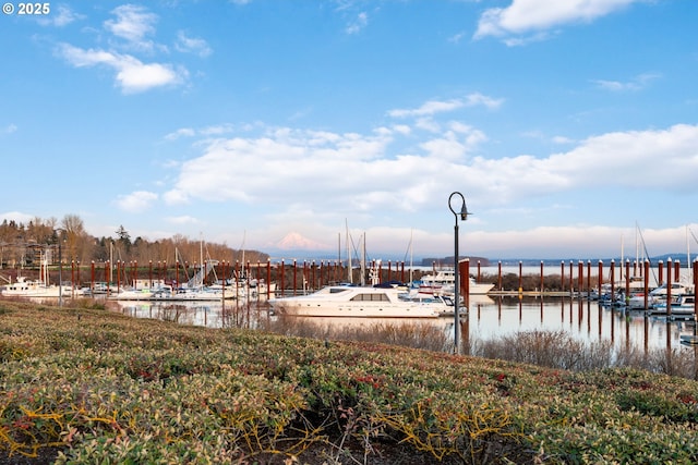 dock area with a water view