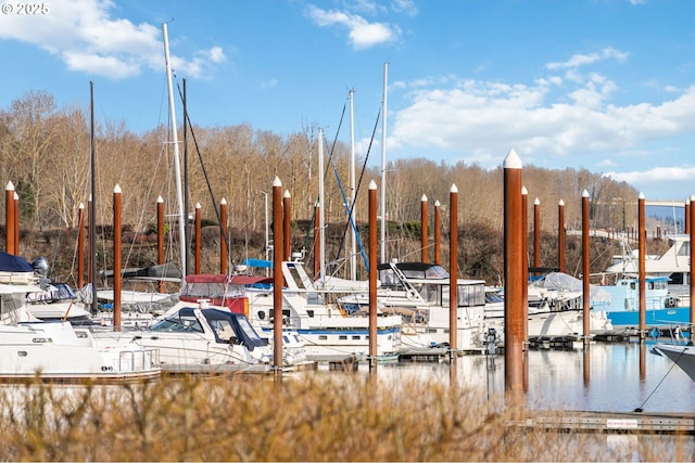 view of dock