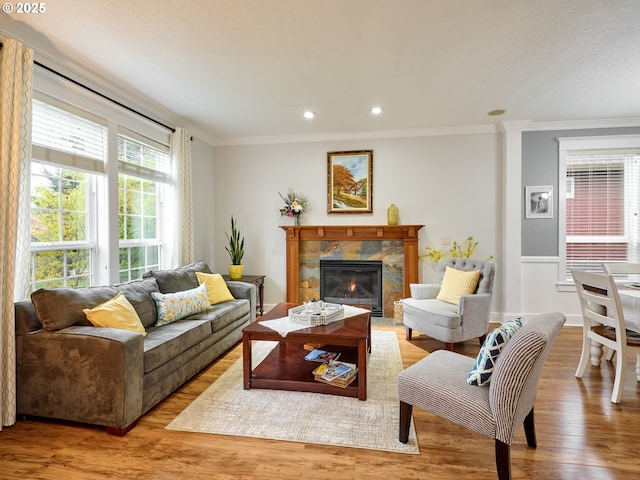 living area featuring crown molding, wood finished floors, and a premium fireplace