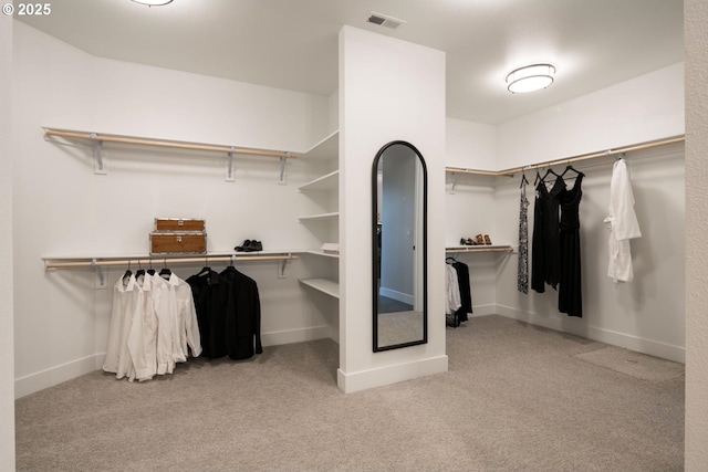 walk in closet with carpet flooring