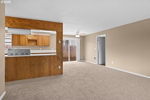 kitchen featuring carpet, brown cabinets, a healthy amount of sunlight, a textured ceiling, and baseboards