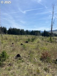 00 Benjimin Rd, Estacada, OR 97023