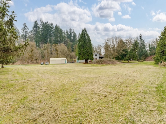 view of yard with a storage shed and an outdoor structure