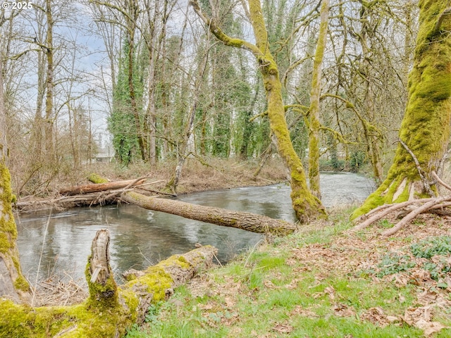 view of nature featuring a forest view