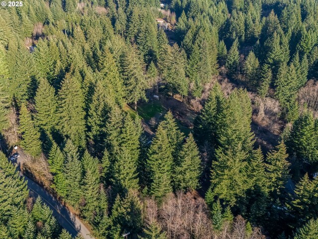 29309 NE 60th St, Camas, WA 98607
