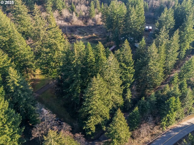 29309 NE 60th St, Camas, WA 98607