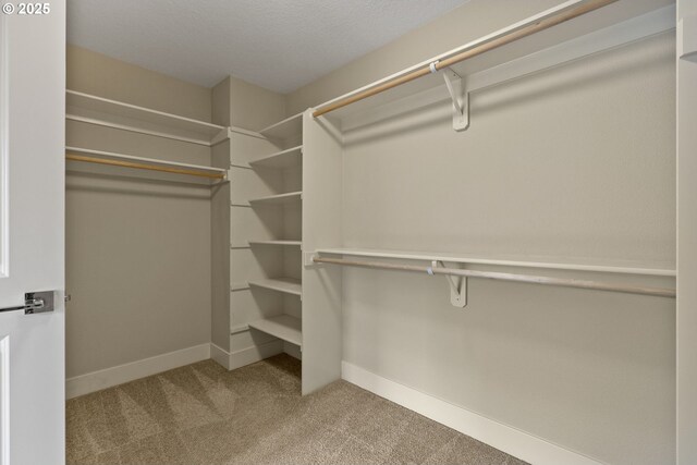 16185 NW Ashfield Dr, Beaverton, OR 97006 - spacious closet featuring carpet flooring