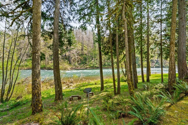 89935 Greenwood Dr, Leaburg, OR 97489 - view of water feature