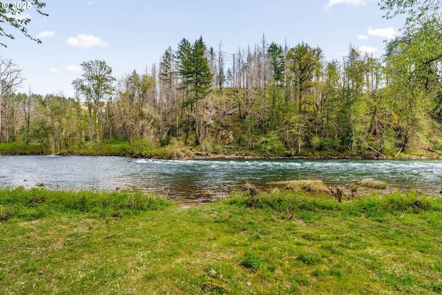 89935 Greenwood Dr, Leaburg, OR 97489 - property view of water