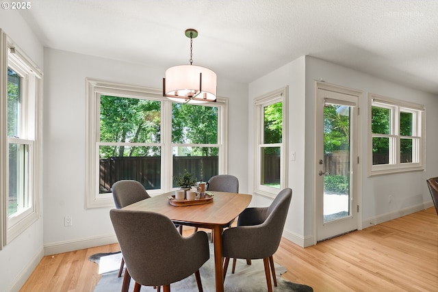 dining space featuring light wood-style flooring, plenty of natural light, and baseboards